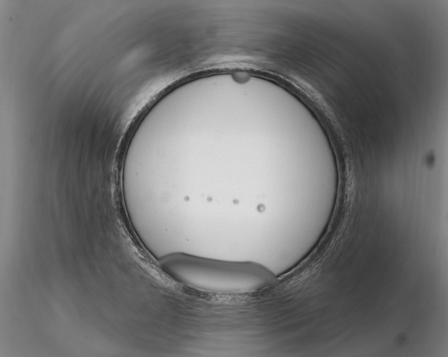 X0000116151277200912141149