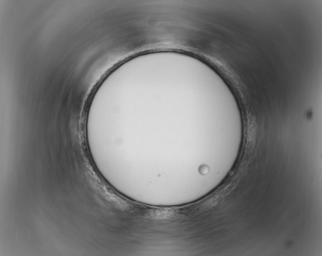 X0000116151278200912141148