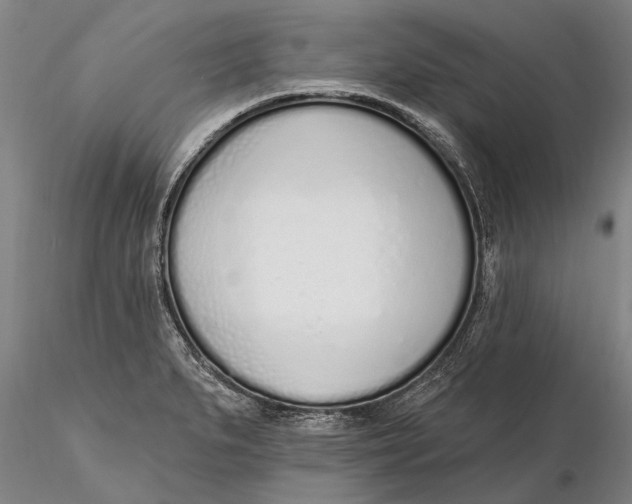 X0000116151279200912141148