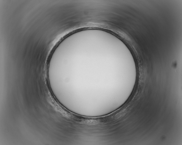 X0000116151280200912141148