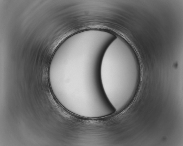 X0000116151281200912141148