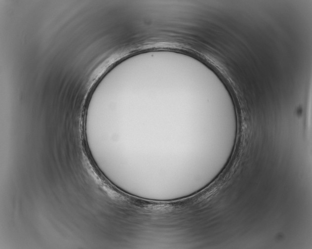 X0000116151282200912141148