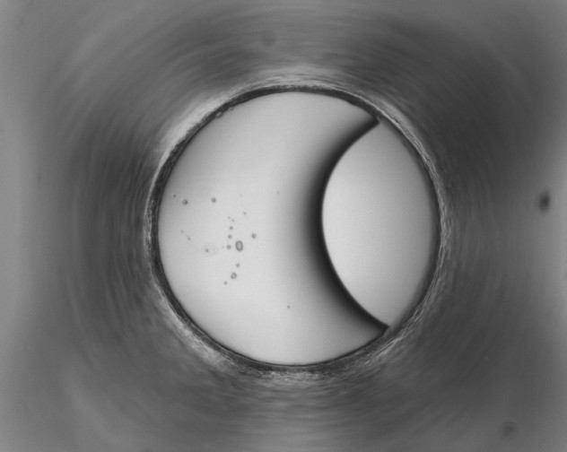 X0000116151285200912141148