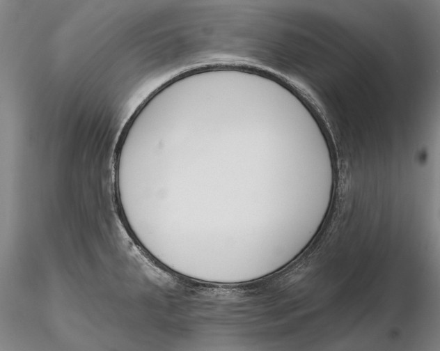 X0000116151287200912141148