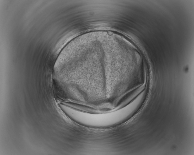 X0000116151289200912141148