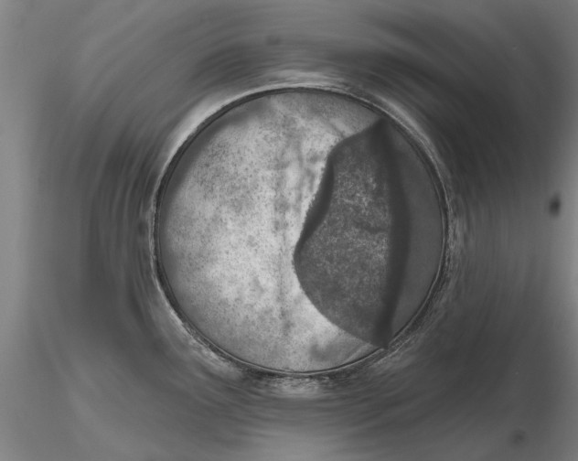 X0000116151291200912141148