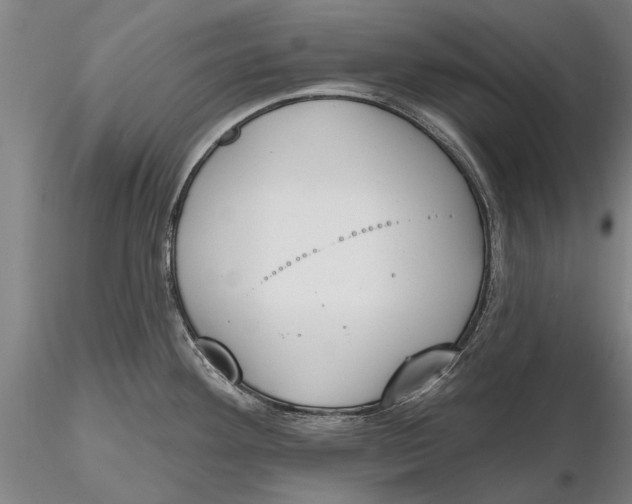 X0000116151292200912141148