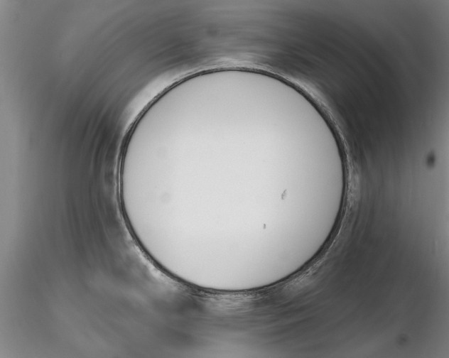 X0000116151294200912141148