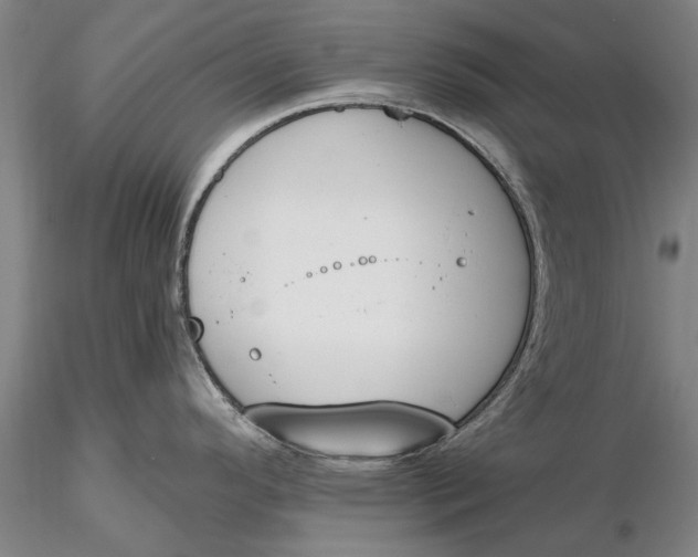 X0000116151296200912141148