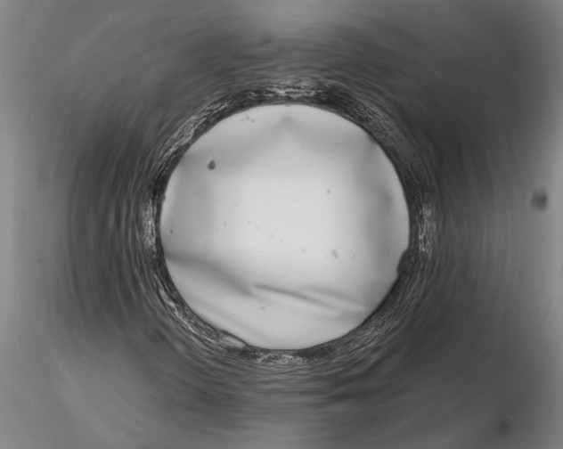 X0000116151298200912141147