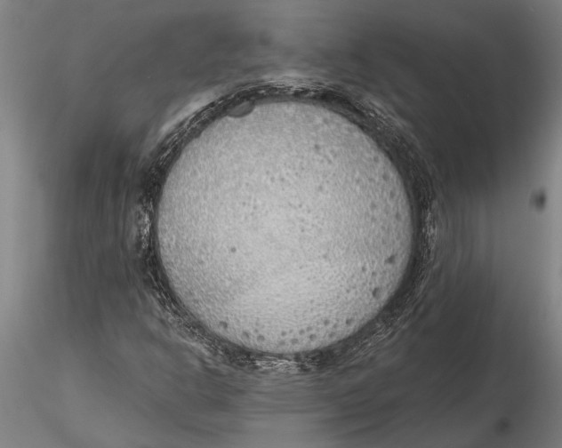 X0000116151302200912141147