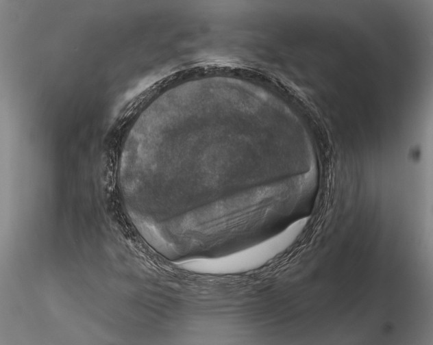 X0000116151303200912141147