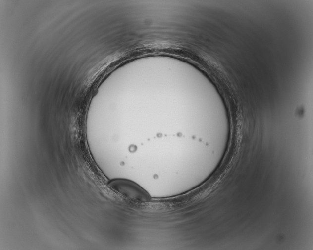 X0000116151305200912141148