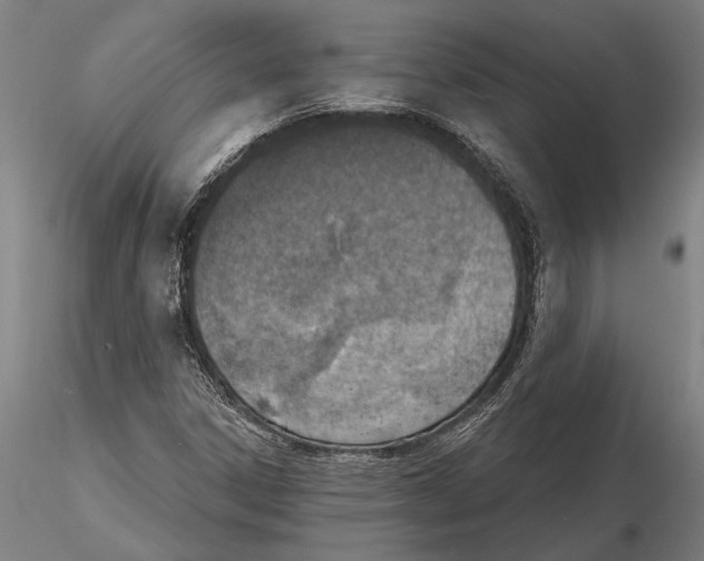 X0000116151306200912141148