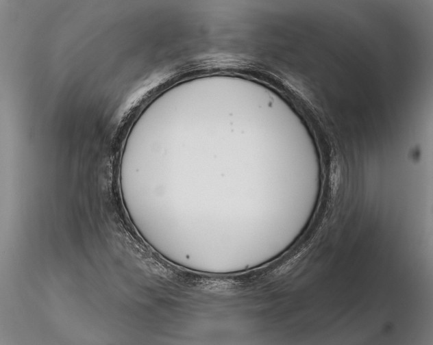 X0000116151309200912141148