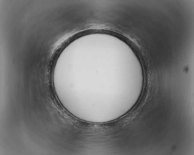 X0000116151311200912141148