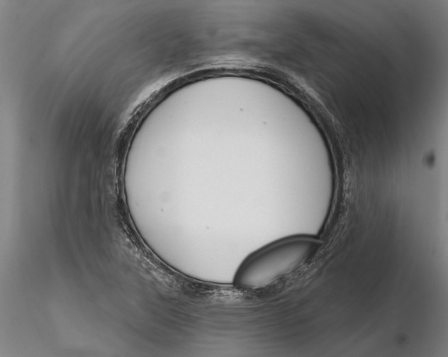 X0000116151315200912141148