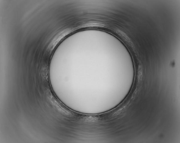 X0000116151321200912141148