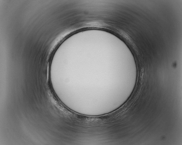 X0000116151323200912141148