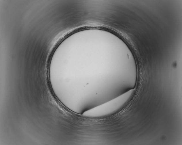 X0000116151327200912141148