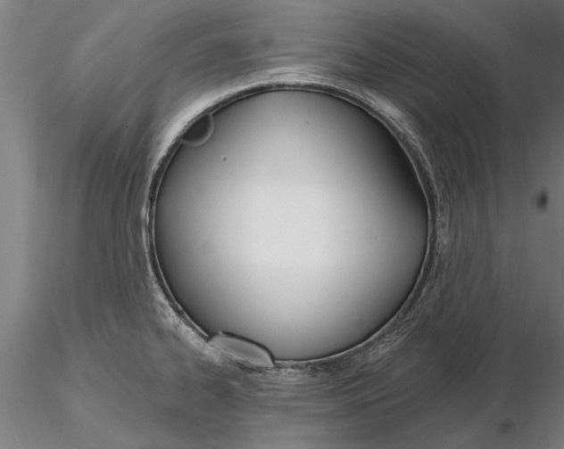 X0000116151334200912141148