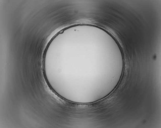 X0000116151339200912141148