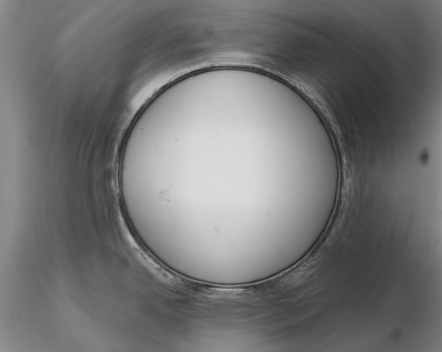 X0000116151342200912141148