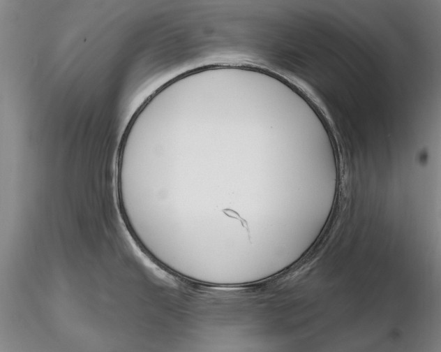 X0000116151343200912141148