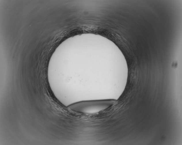 X0000116151345200912141147