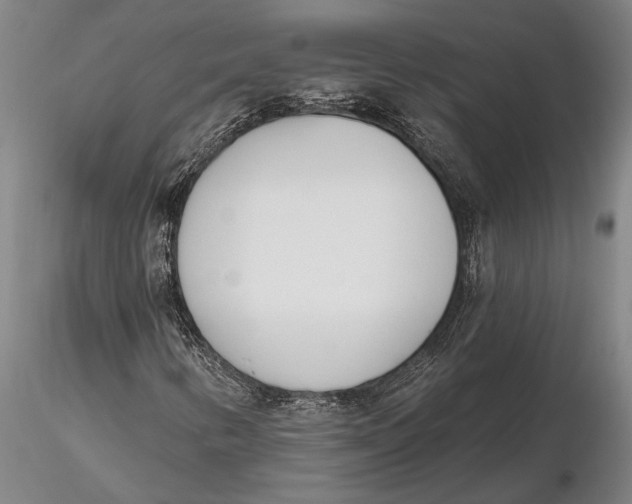 X0000116151346200912141147