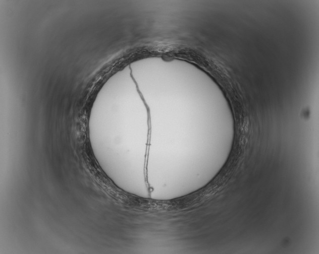 X0000116151349200912141147