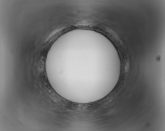 X0000116151350200912141147