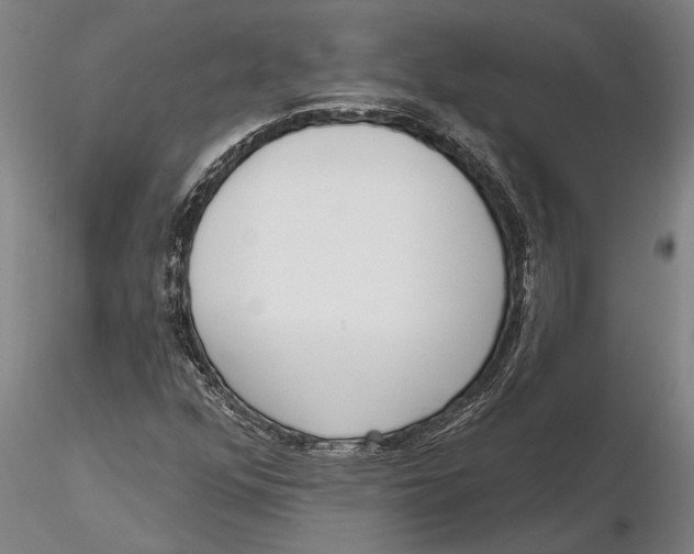 X0000116151352200912141147