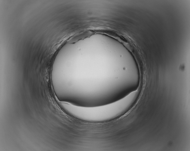 X0000116151353200912141147