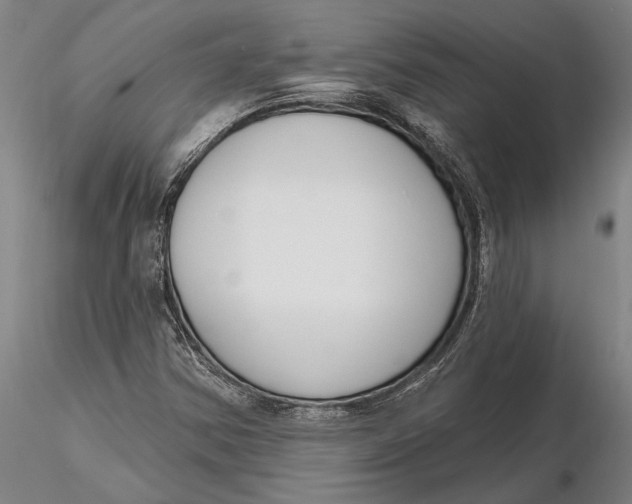 X0000116151354200912141147