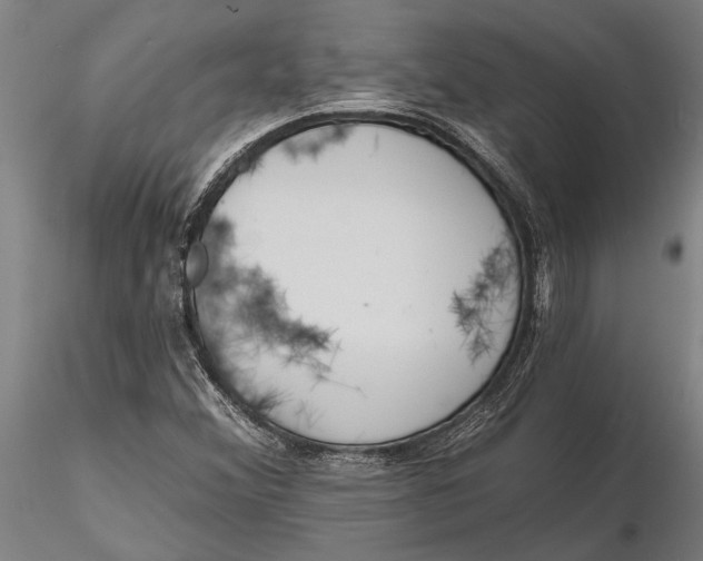 X0000116151356200912141147