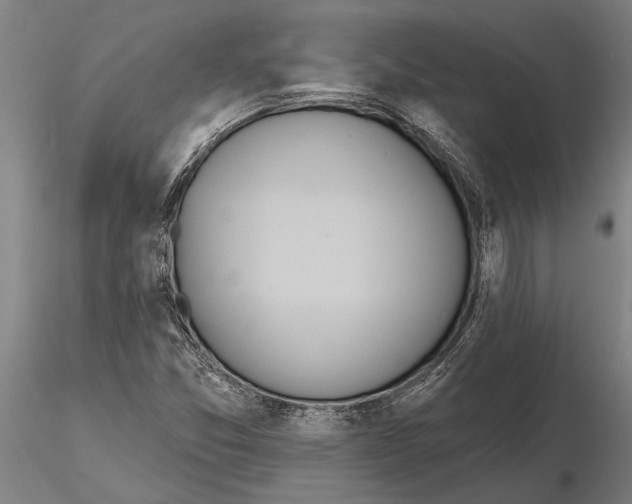 X0000116151357200912141147