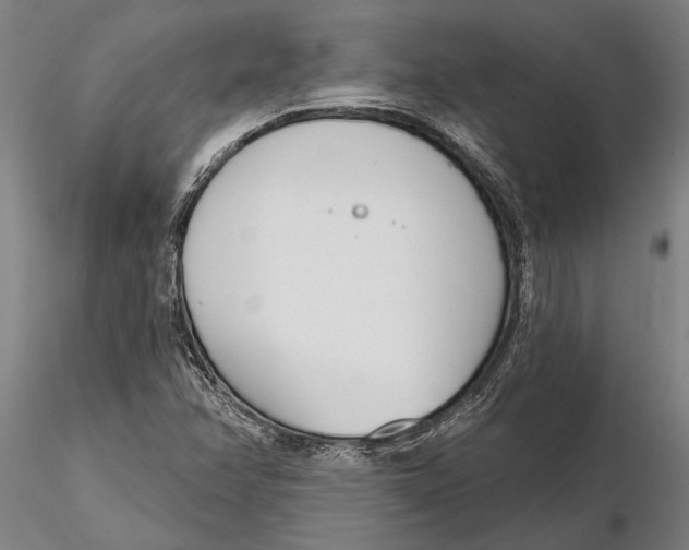 X0000116151358200912141147