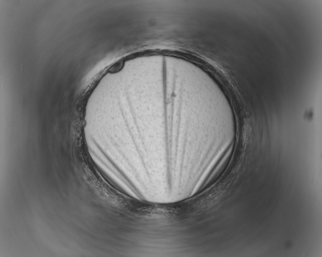 X0000116151359200912141147