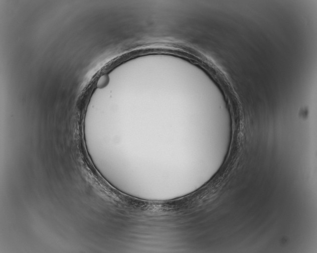 X0000116151360200912141147