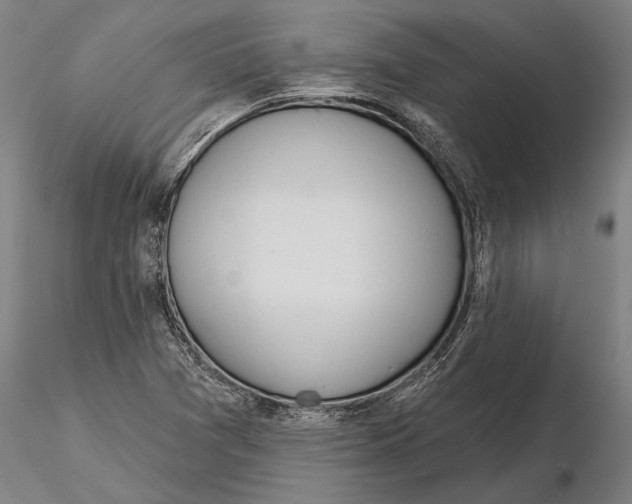 X0000116151361200912141147