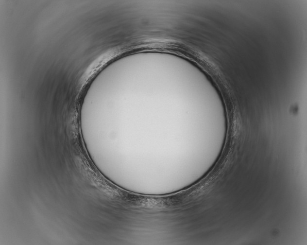 X0000116151362200912141147