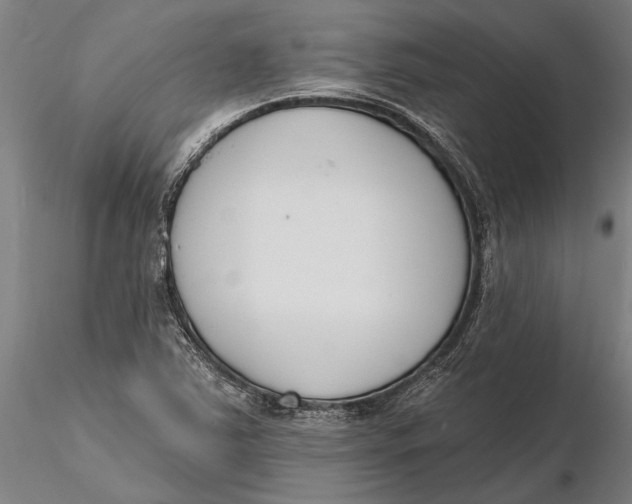 X0000116151363200912141147