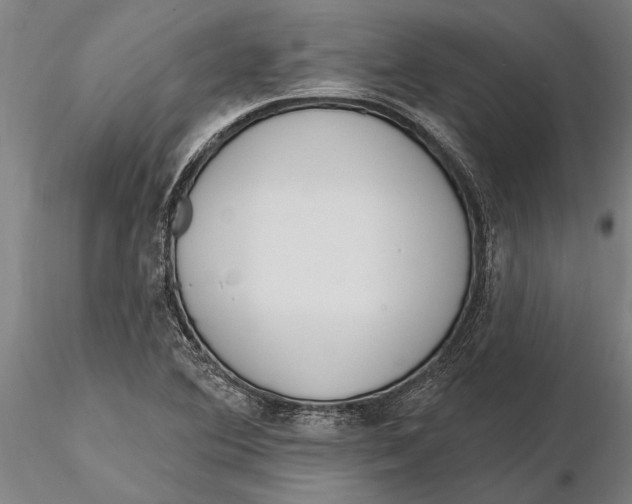 X0000116151364200912141147