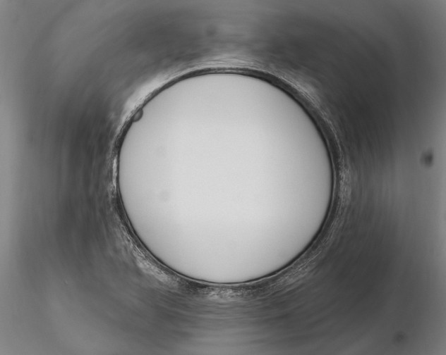 X0000116151366200912141147