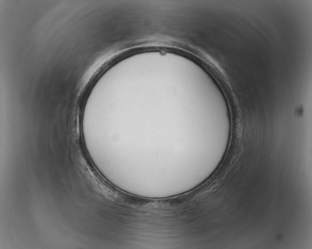 X0000116151368200912141147