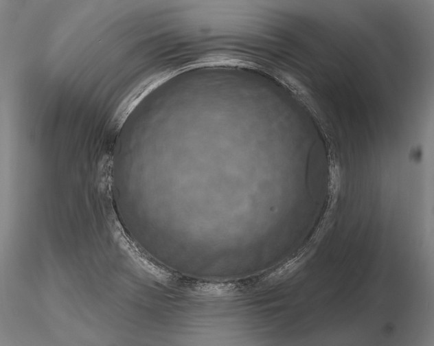 X0000116151369200912141147