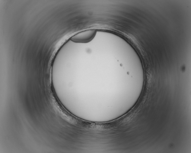 X0000116151371200912141147