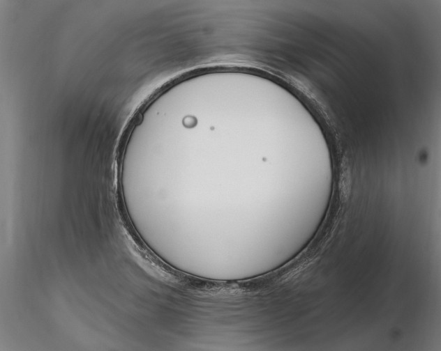 X0000116151372200912141147