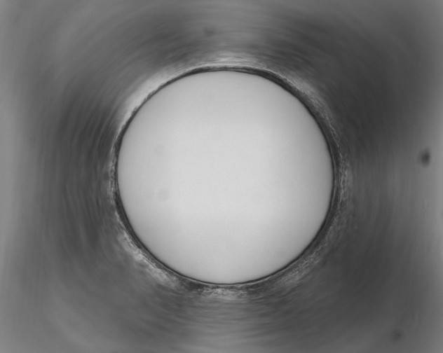 X0000116151374200912141147